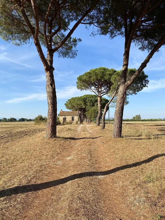 Quercesecca Villa Marina di Grosseto